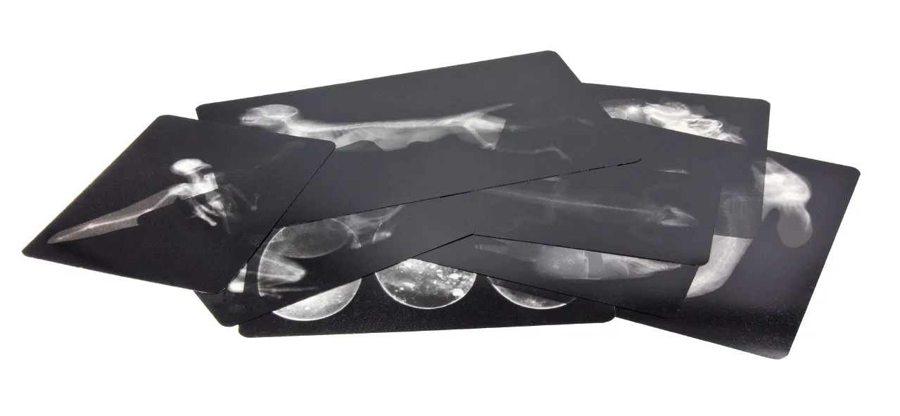 Color-Changing LED Light Cube Sensory Exploration Kit