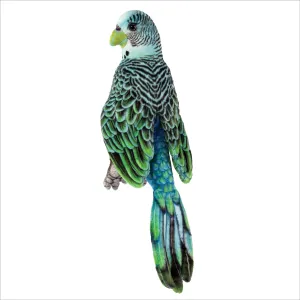 Parakeet 10"