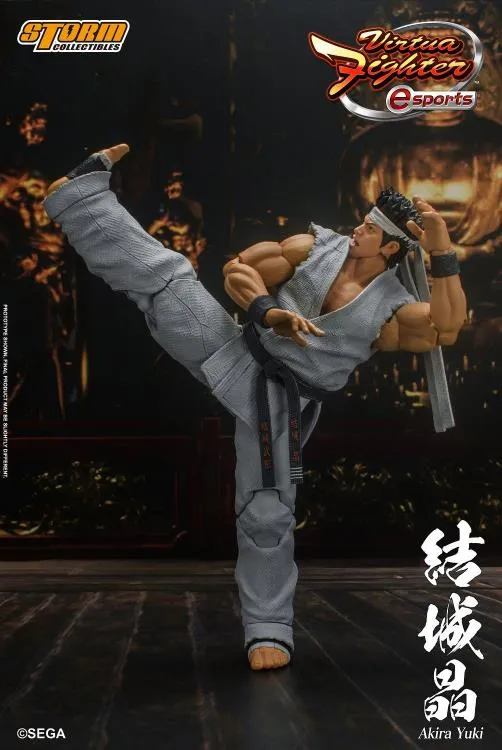 Storm Collectibles 1/12 Virtua Fighter 5 Akira Yuki Scale Action Figure