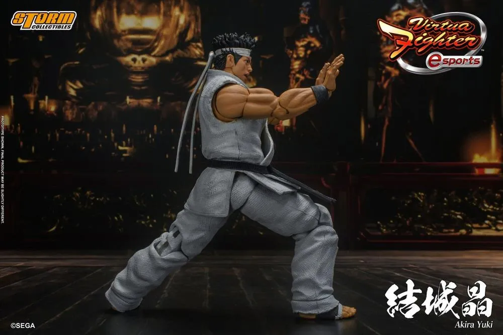 Storm Collectibles 1/12 Virtua Fighter 5 Akira Yuki Scale Action Figure