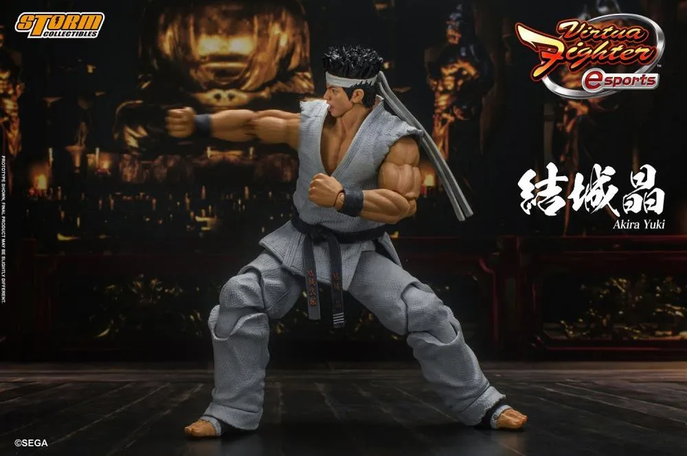 Storm Collectibles 1/12 Virtua Fighter 5 Akira Yuki Scale Action Figure