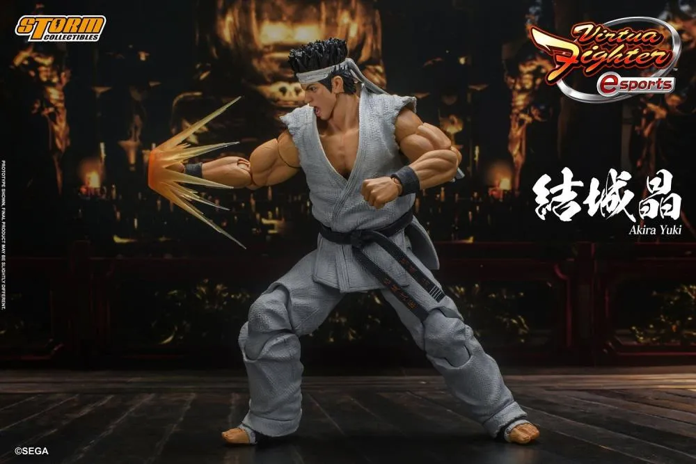 Storm Collectibles 1/12 Virtua Fighter 5 Akira Yuki Scale Action Figure