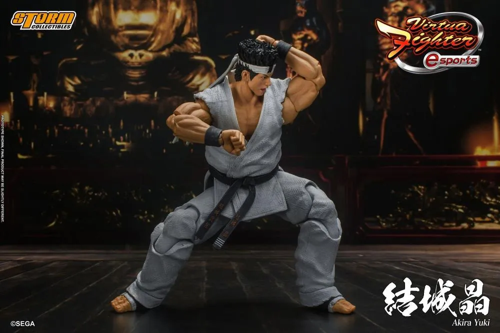 Storm Collectibles 1/12 Virtua Fighter 5 Akira Yuki Scale Action Figure