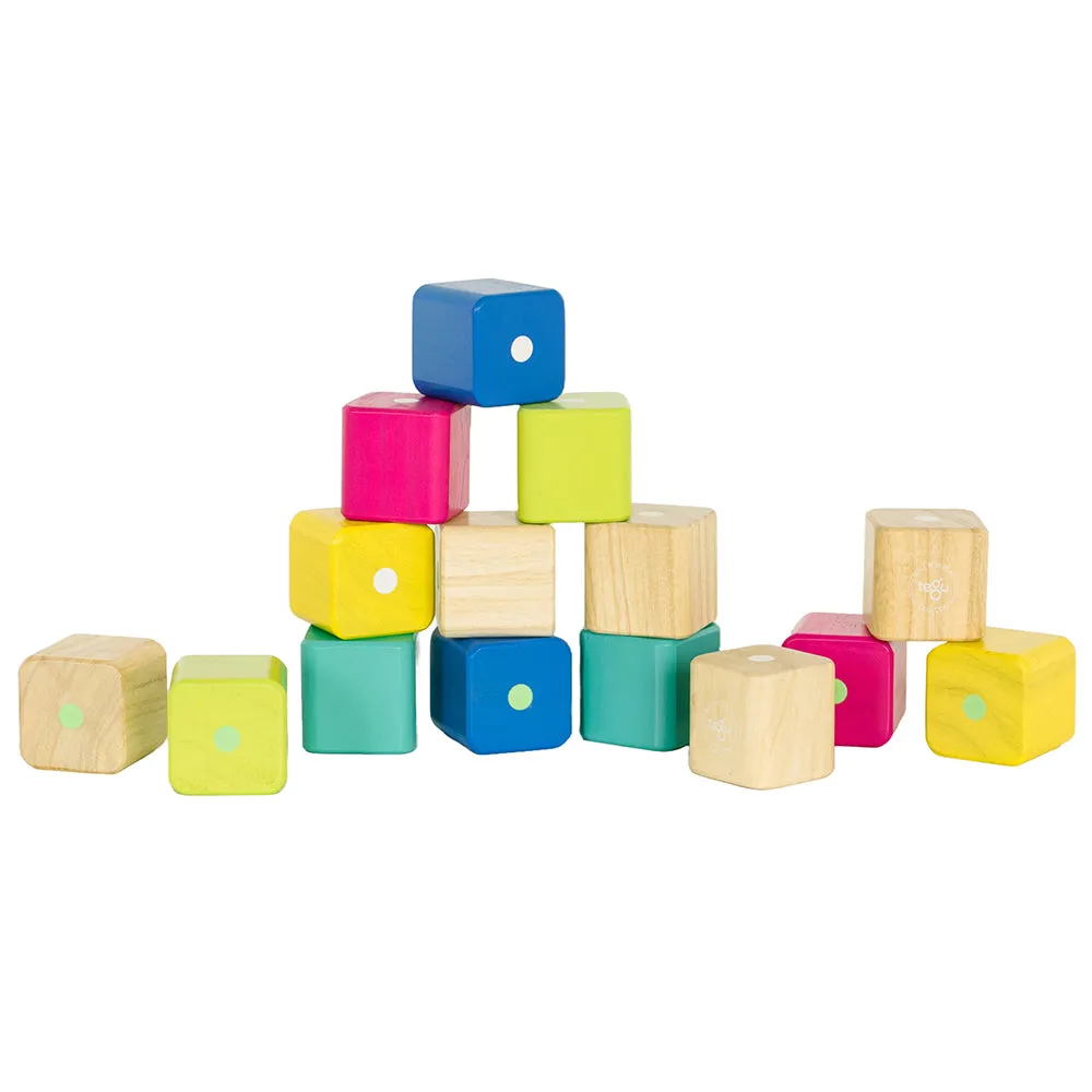Tegu Baby's First Magnetic Blocks | Eco-Friendly 15-Piece Set