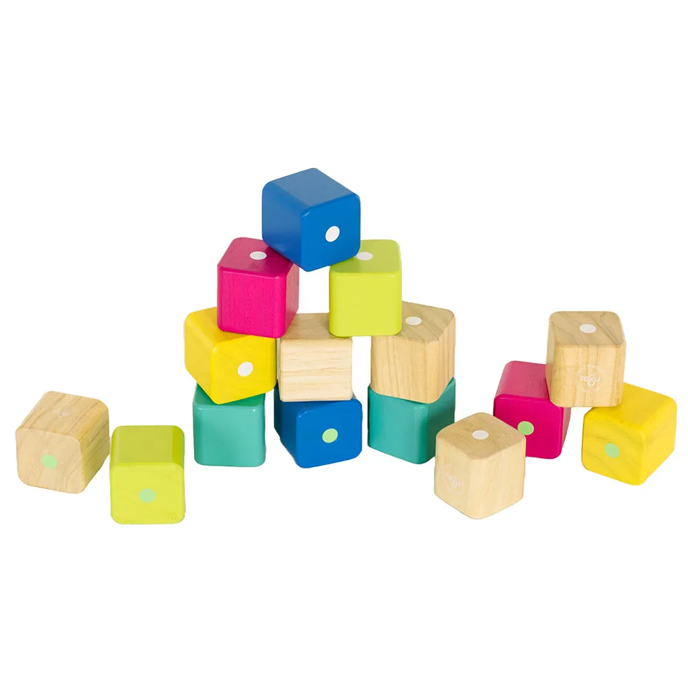 Tegu Baby's First Magnetic Blocks | Eco-Friendly 15-Piece Set