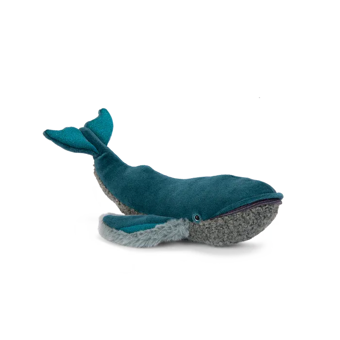 Whale, All Around the World