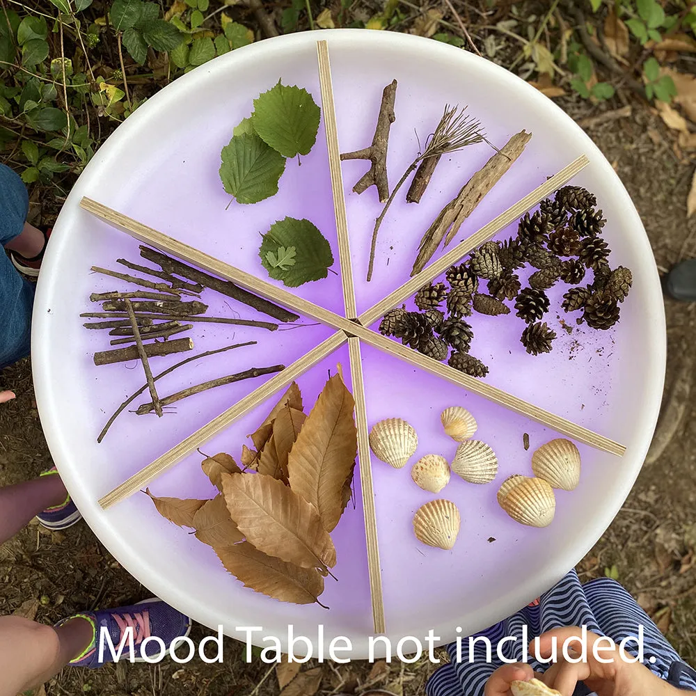 Wooden Sorting Dividers for Sensory Play