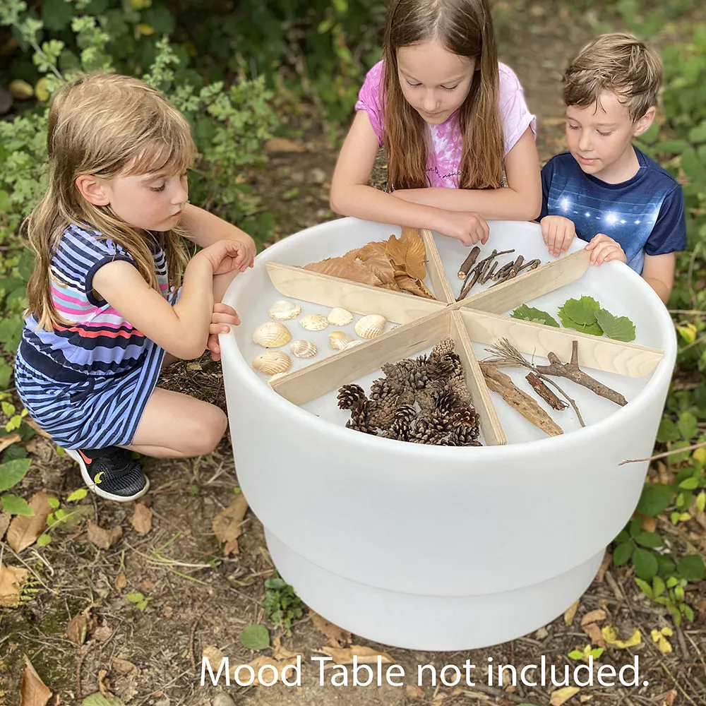 Wooden Sorting Dividers for Sensory Play